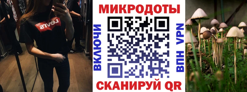 Псилоцибиновые грибы Magic Shrooms Могоча